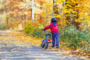 Little kid boy with bicycle in autumn forest