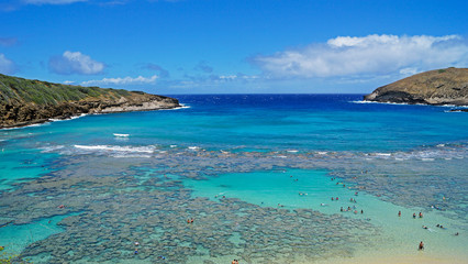 Top View of Hawaiian Bay and Reefs