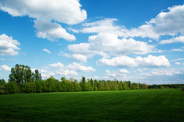green field and blue sky