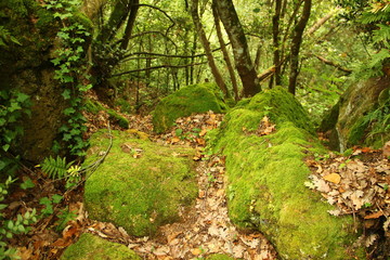 Blera, lungo la Via Clodia