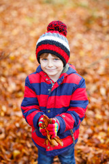 Cute little kid boy on autumn leaves background in park.