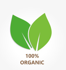 Organic leaves icon