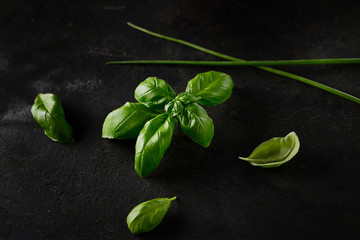 fresh basil, tomatoes and onion on a dark rustic background