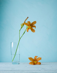 Still life with beautiful orange lilies