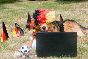 Hund als Deutschland Fan der Europameisterschaft guckt ein Fußball Spiel