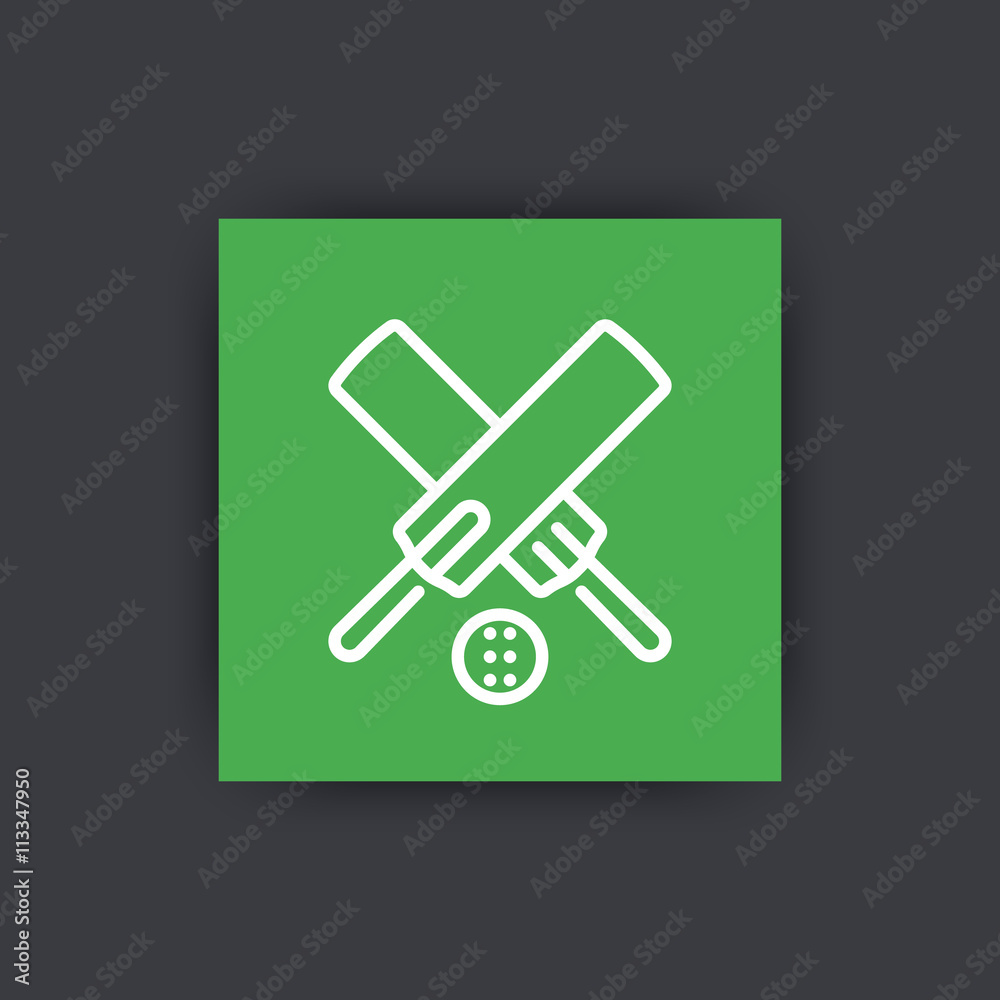 Wall mural Cricket line icon, vector illustration