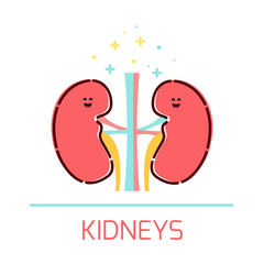 Cute healthy kidneys icon made in cartoon style. Kidneys cartoon character. Human body organs anatomy icon. Medical human internal organ symbol. Medical concept. Vector illustration.

