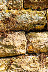 Klostermauer mit Mauereidechse