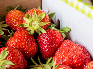 Frisch geerntete Erdbeeren