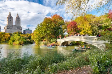 Gordijnen Prachtige bladkleuren van New York Central Park © jovannig