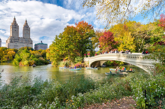 Fototapeta Piękne kolory liści Nowego Jorku Central Park