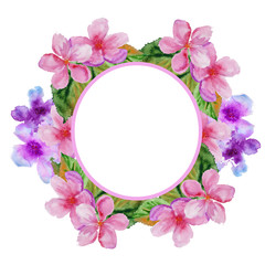 frame with cherry flowers. isolated. watercolor illustration