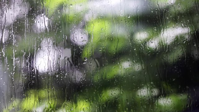 Natur Regenwetter Hintergrund  Regentropfen auf Fensterscheibe zum garten 