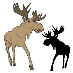 adult moose go black silhouette set realistic 