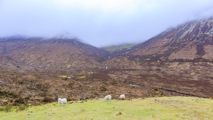 Beautiful country side