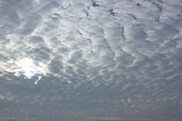 Fototapeta premium Cirrocumuluswolken 