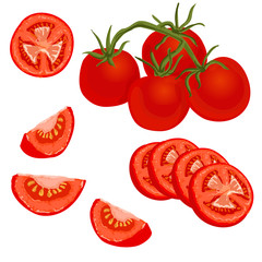 Vector colorful illustration of tomato