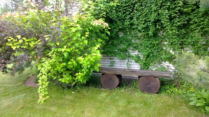 Деревяная лавка в саду  на зеленом  газоне 