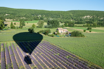 Balloon shadow over lavender bushes and green fields of Provence