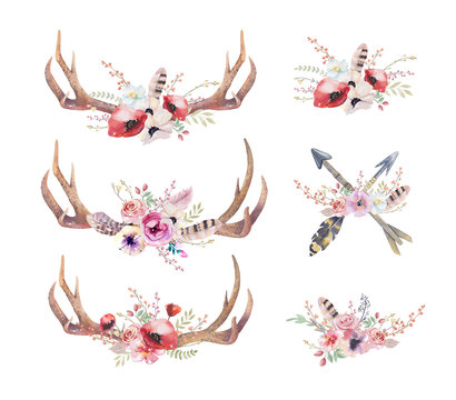 Watercolor bohemian deer horns. Western mammals. Watercolour hip