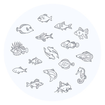 recommend clip art: Set of vector fish icons