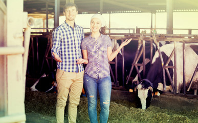 Fototapeta na wymiar Man and woman touching cows