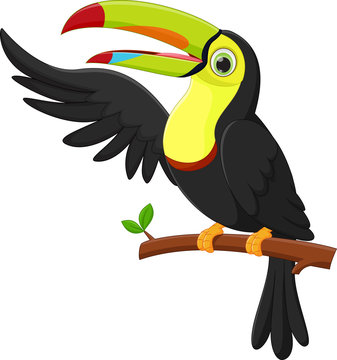 cute toucan bird cartoon waving