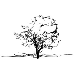 Monochrome tree silhouette vector sketched line art isolated