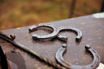 Lucky horseshoe on iron table