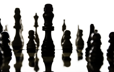 Chess pieces arranged on a chess board with a focus on the figur