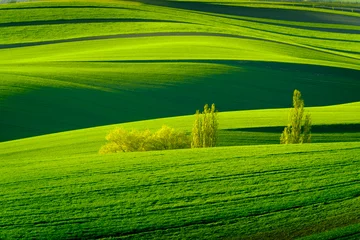Fotobehang Groene golvende heuvels in Zuid-Moravië © Anton Gvozdikov