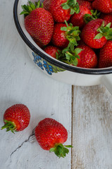 Red berry strawberry