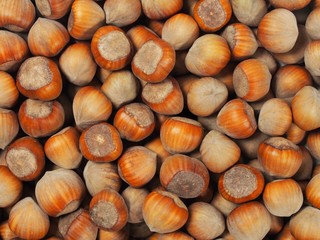 Hazelnuts