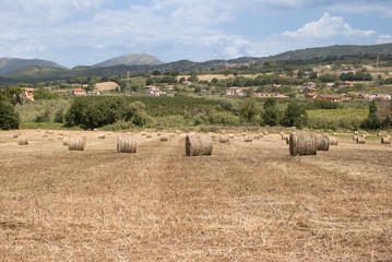 Fototapeta premium Hay bales square