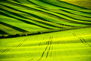 Green wavy hills in South Moravia