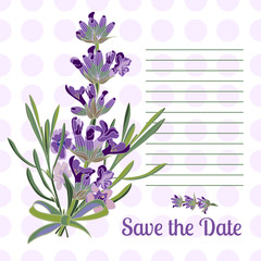 Greeting card with Lavender flowers. Botanical illustration.