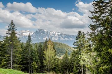 Panorama sur les Alpes vue de Chamrousse en été