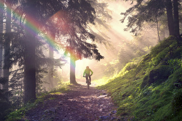 Dawn rays mountain cycling