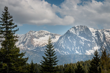 Obraz premium Panorama sur les Alpes vue de Chamrousse en été