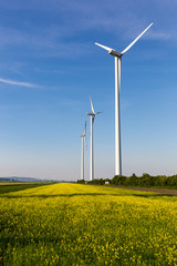 Beautiful fields surrounding windmills on the field during summer day with blue sky