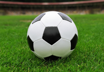 Fototapeta premium Soccer ball on green grass