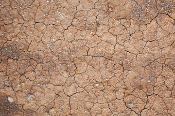 Drought 