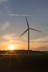 Beautiful sunset above the windmills on the field