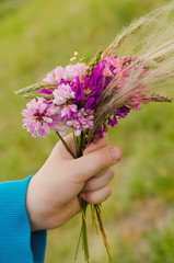 small nosegay of wild flowers in a hand
