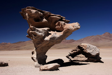 Fototapeta na wymiar Arbol de Piedra, Bolivia