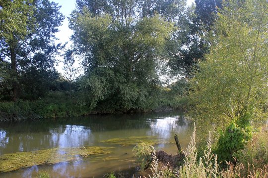 River Kennet English Countryside