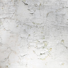 white wall.