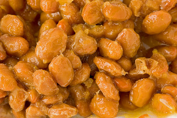 Fermented Soybeans