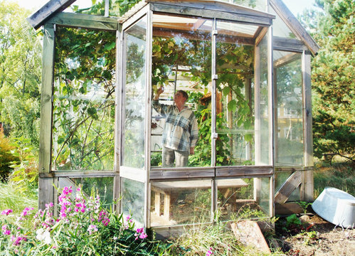 Elderly woman in greenhouse