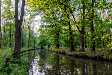 Spreewald